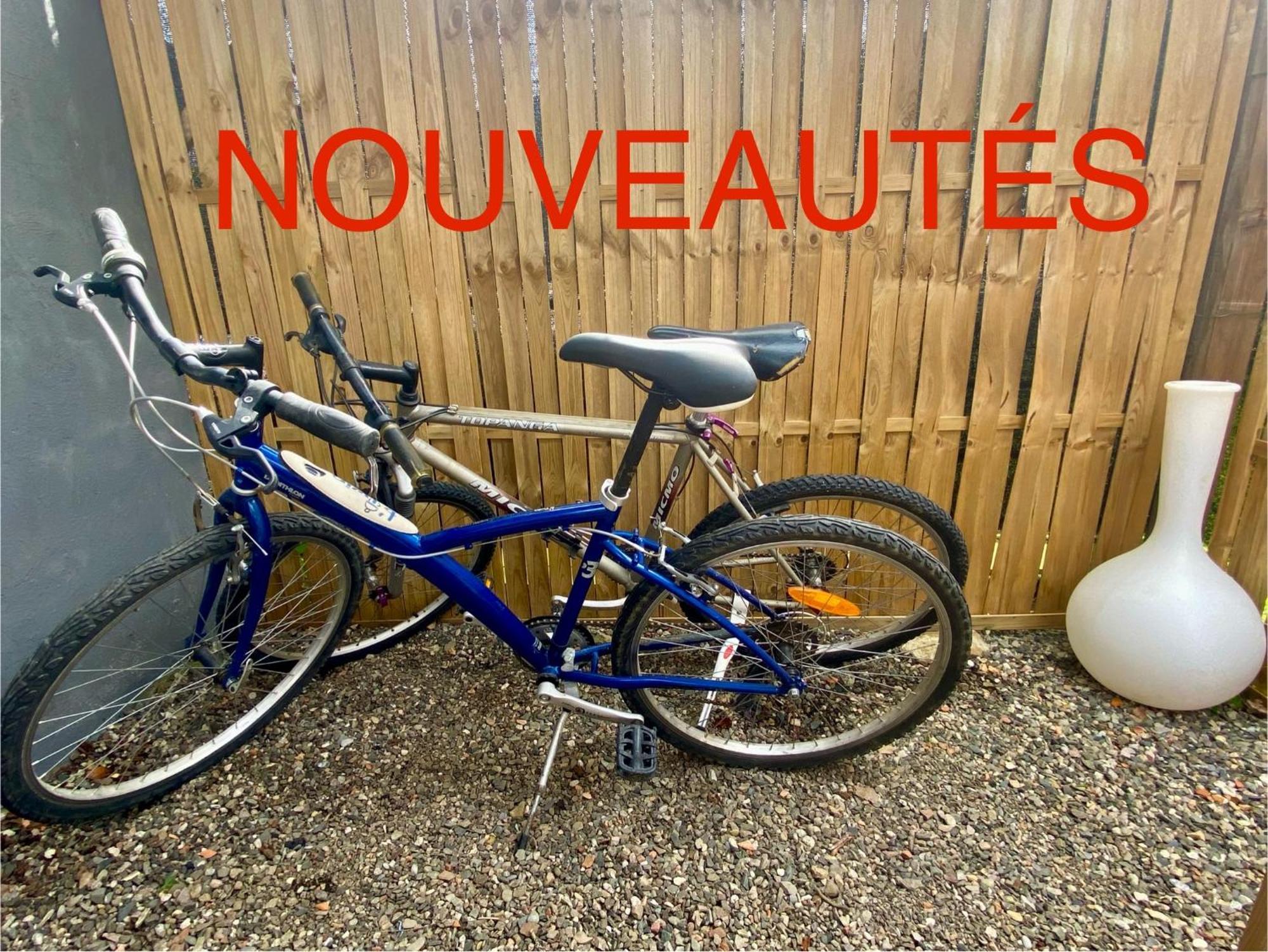 Petite Maison Au Calme Avec Jardin Cloture Les Animaux Bienvenue Mollau Exterior photo